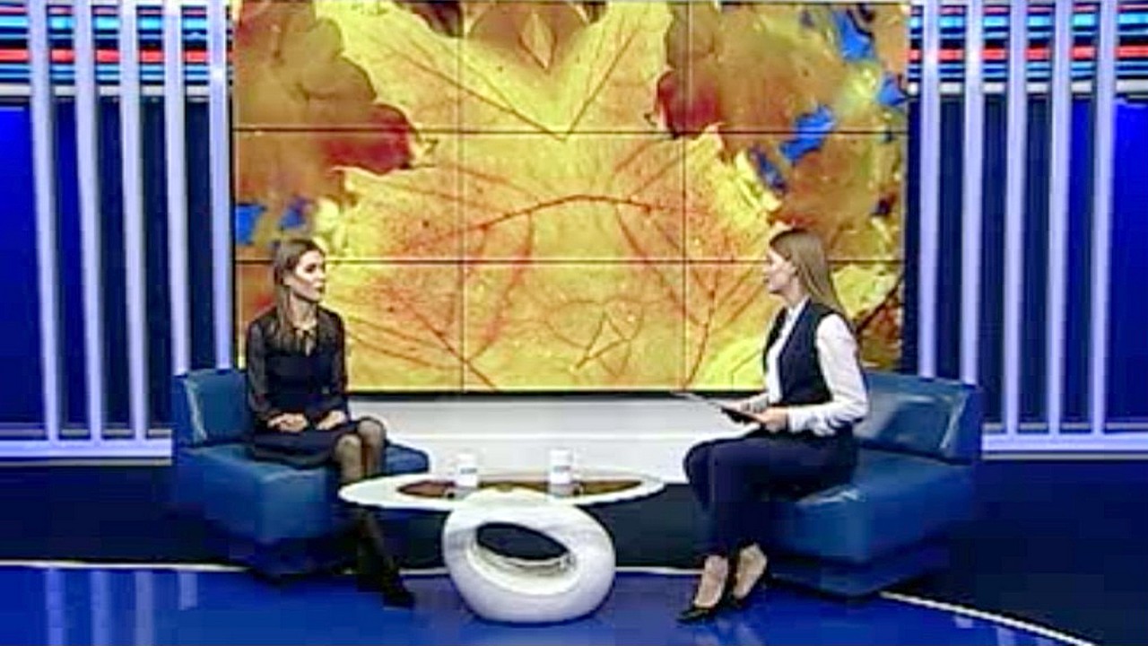 Выпуск от 22 ноября 2021 года