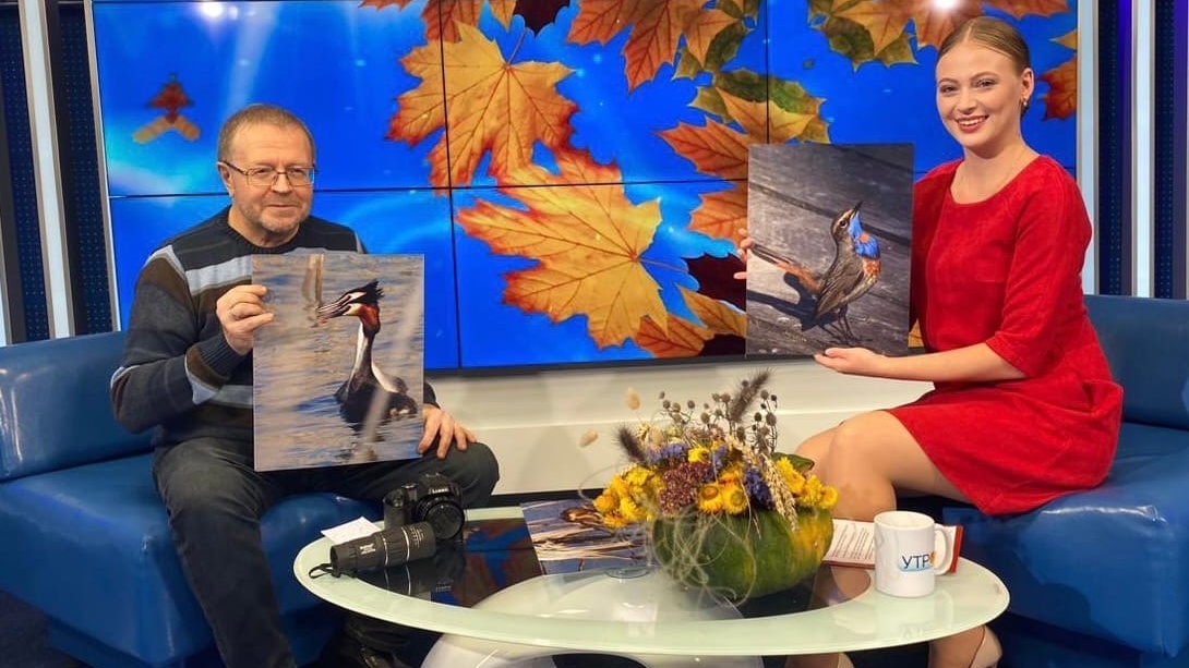 Павел Кудрин о том, каких птиц можно встретить в Курской области | ГТРК «Курск» Павел Кудрин о том, каких птиц можно встретить в Курской области