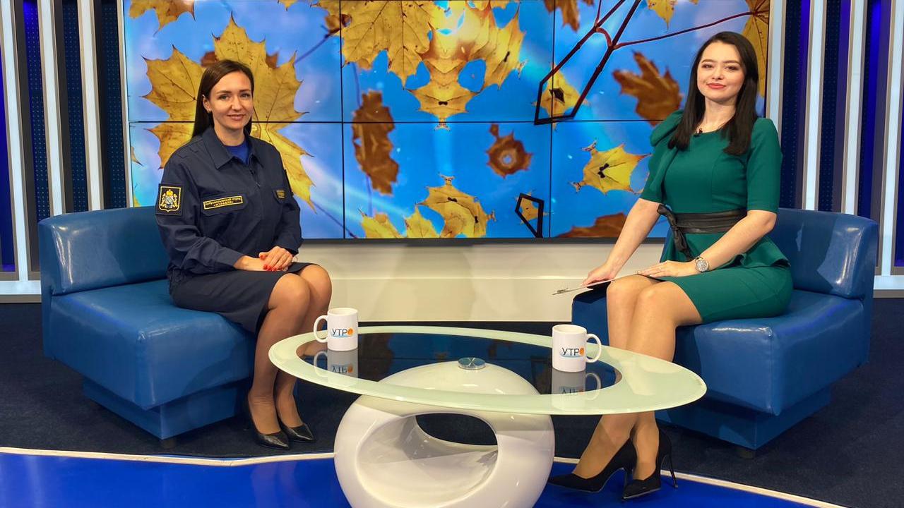 Екатерина Голованова о добровольческом движении "Журавли"