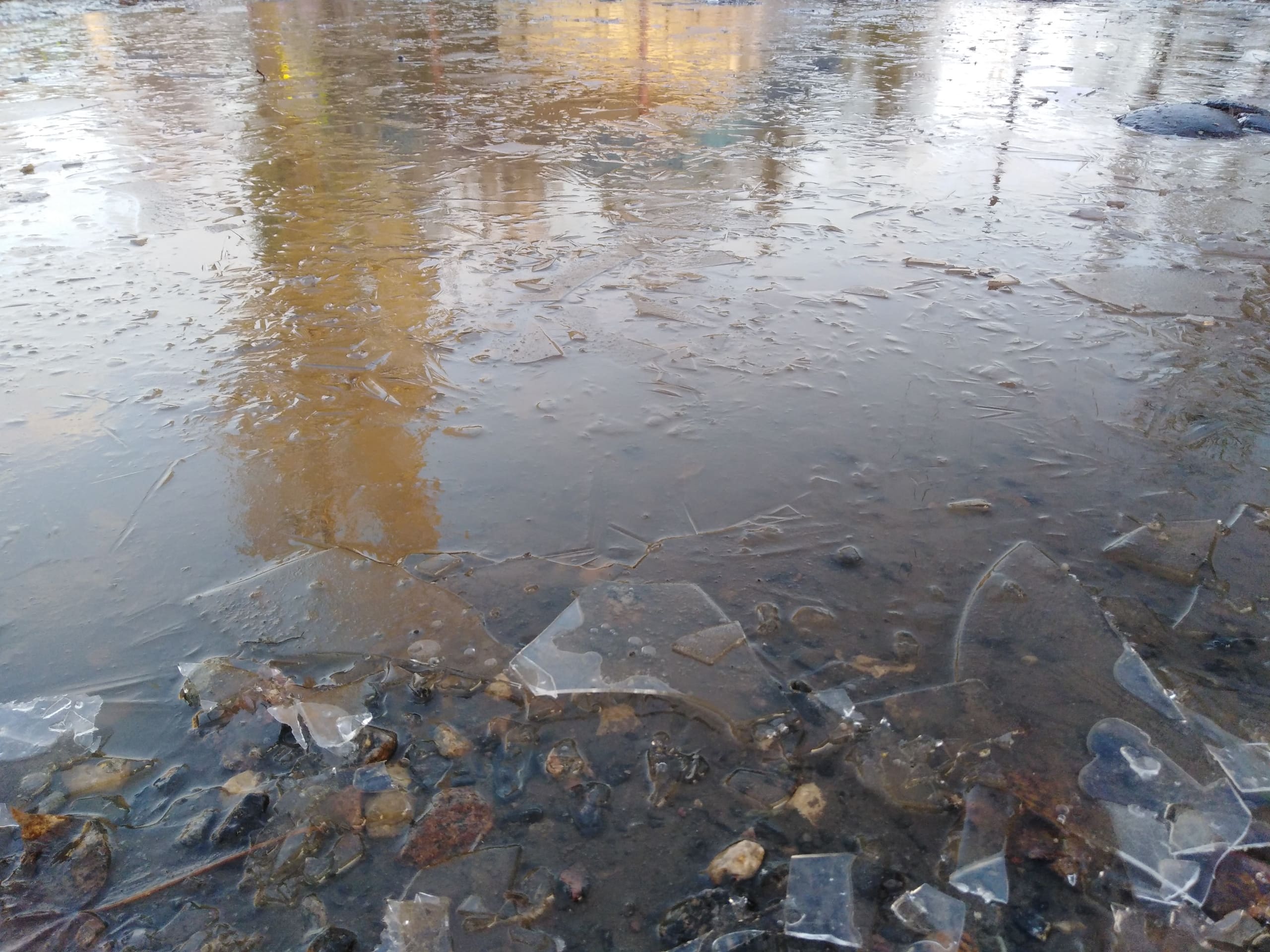 В Курской области зафиксирован первый случай гибели на водоеме