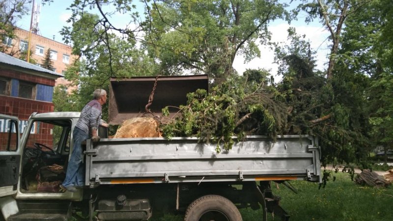 За сутки в Курске поступило 32 обращения об упавших деревьях