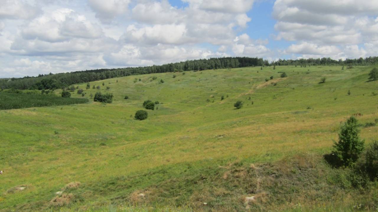 В Курской области создана особо охраняемая территория регионального значения