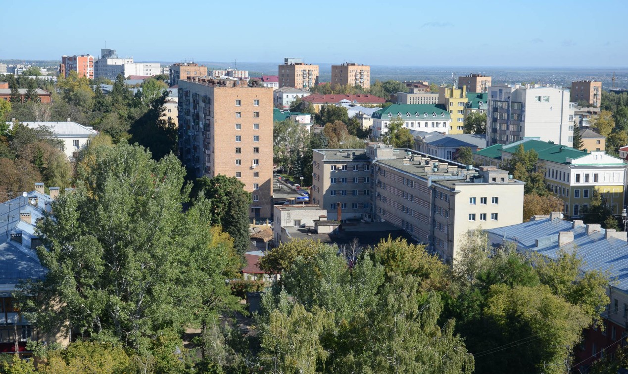 Ежегодно в Курске подлежат сносу около 2 тыс. деревьев