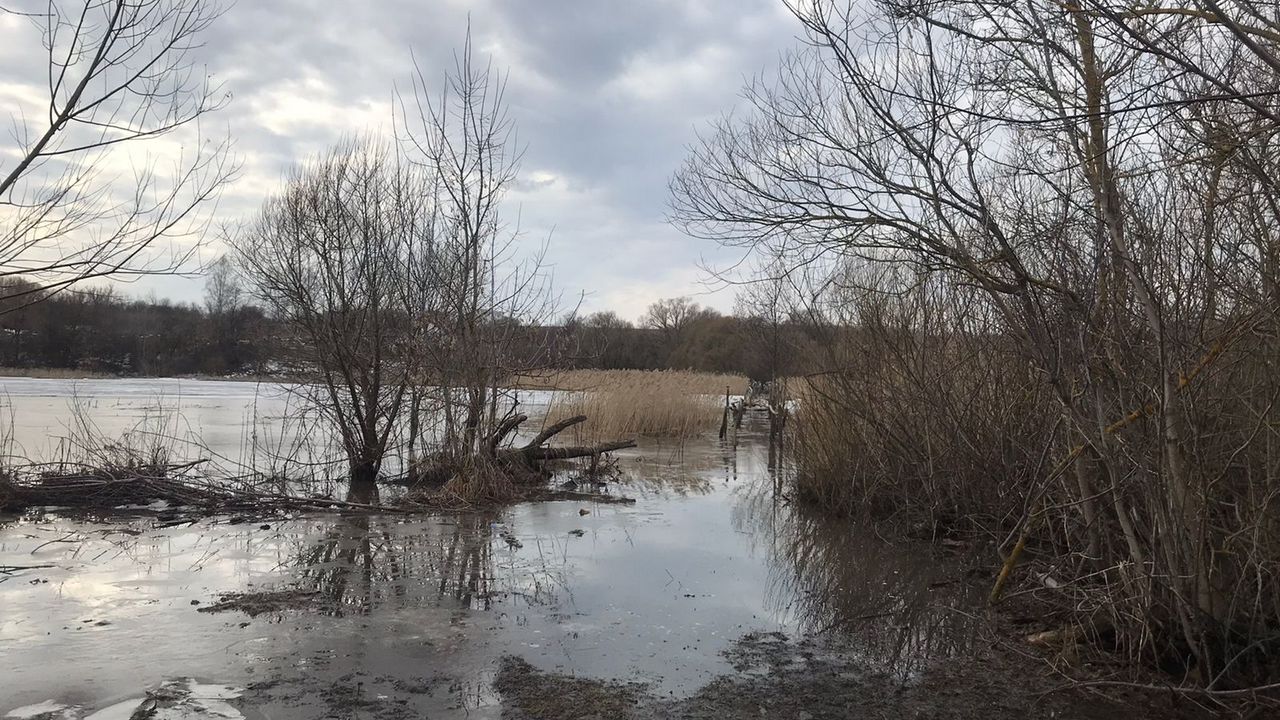 В Курской области жители деревни Жизлово просят проложить в населенном пункте асфальт