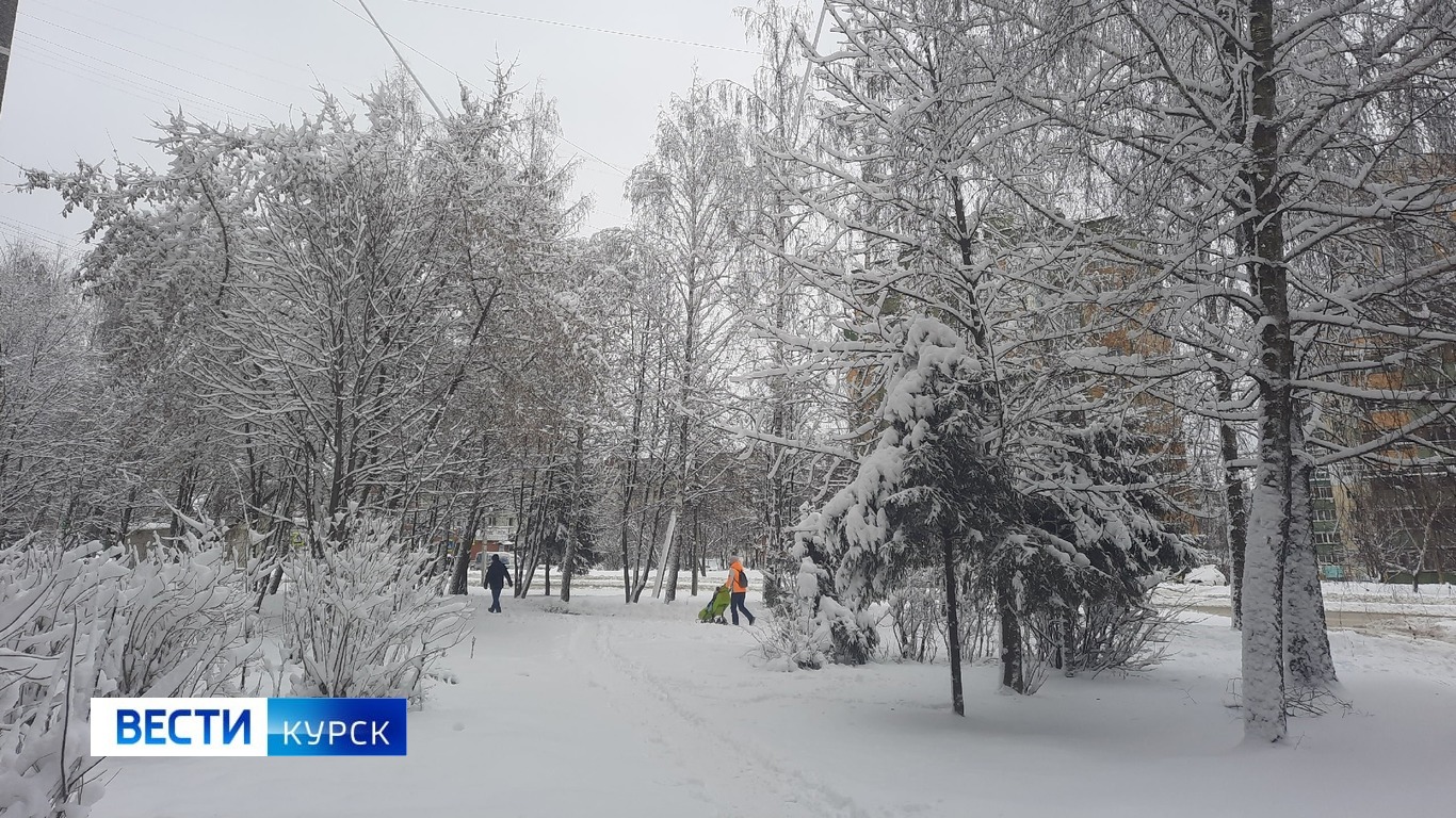 В Курской области 5 февраля ожидается мокрый снег и от -3 до +2 градусов