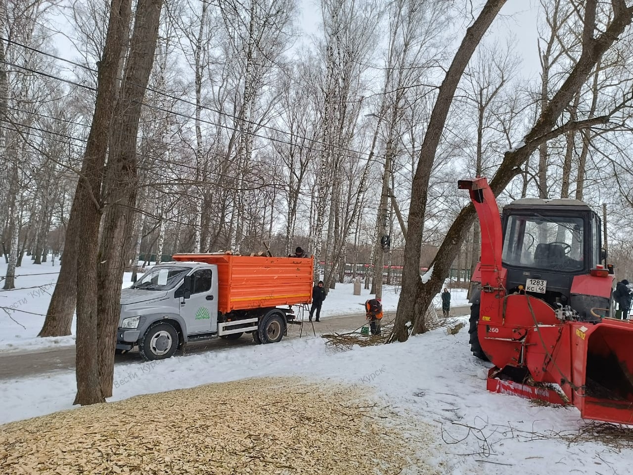 В Курске парк «Боева дача» очищают от сухих и больных деревьев | ГТРК «Курск» В Курске парк «Боева дача» очищают от сухих и больных деревьев