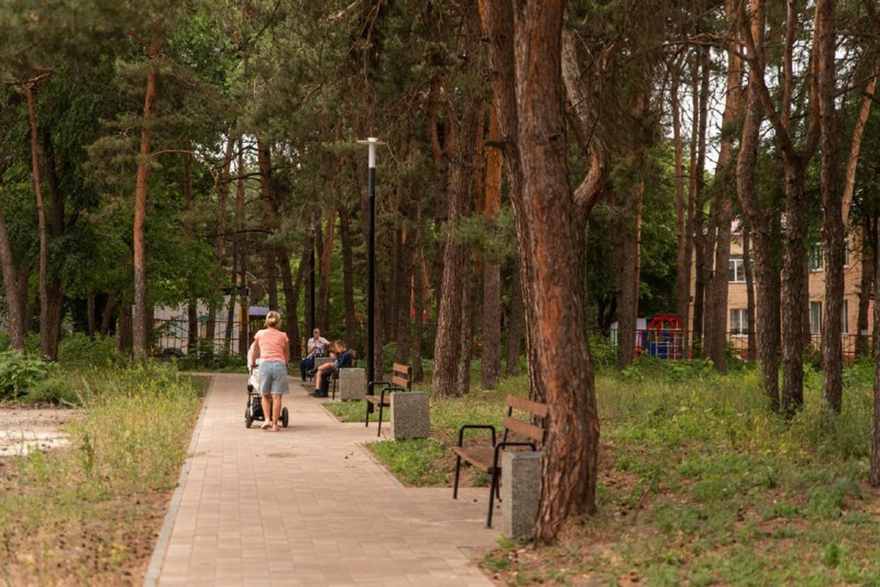 В Курской области со следующих выходных могут начать проводить субботники