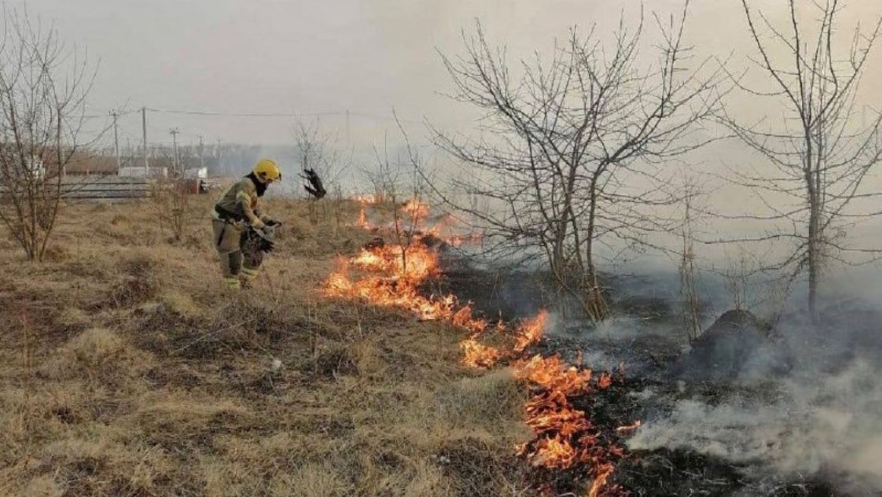 Спасатели просят курян не поджигать сухую траву