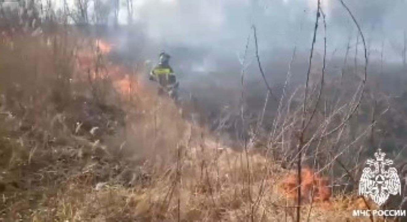 В Курске горит трава на улице Гагарина