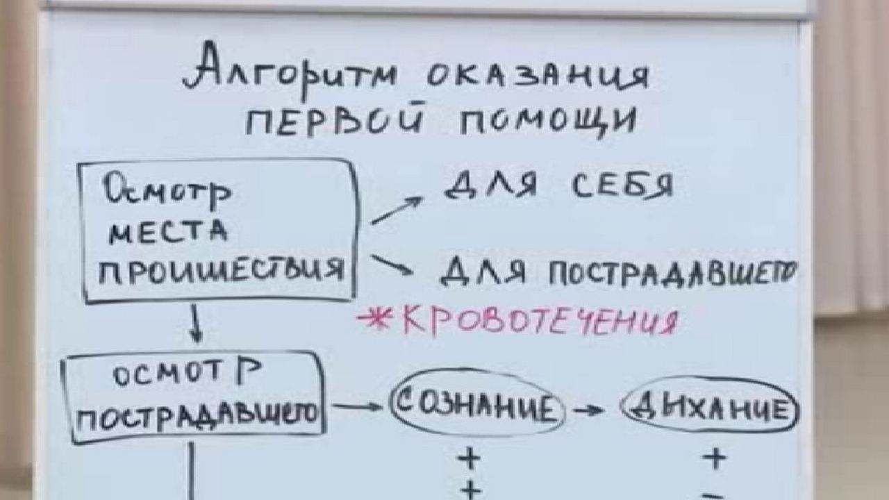 В Курске проводят мастер-классы по оказанию первой помощи