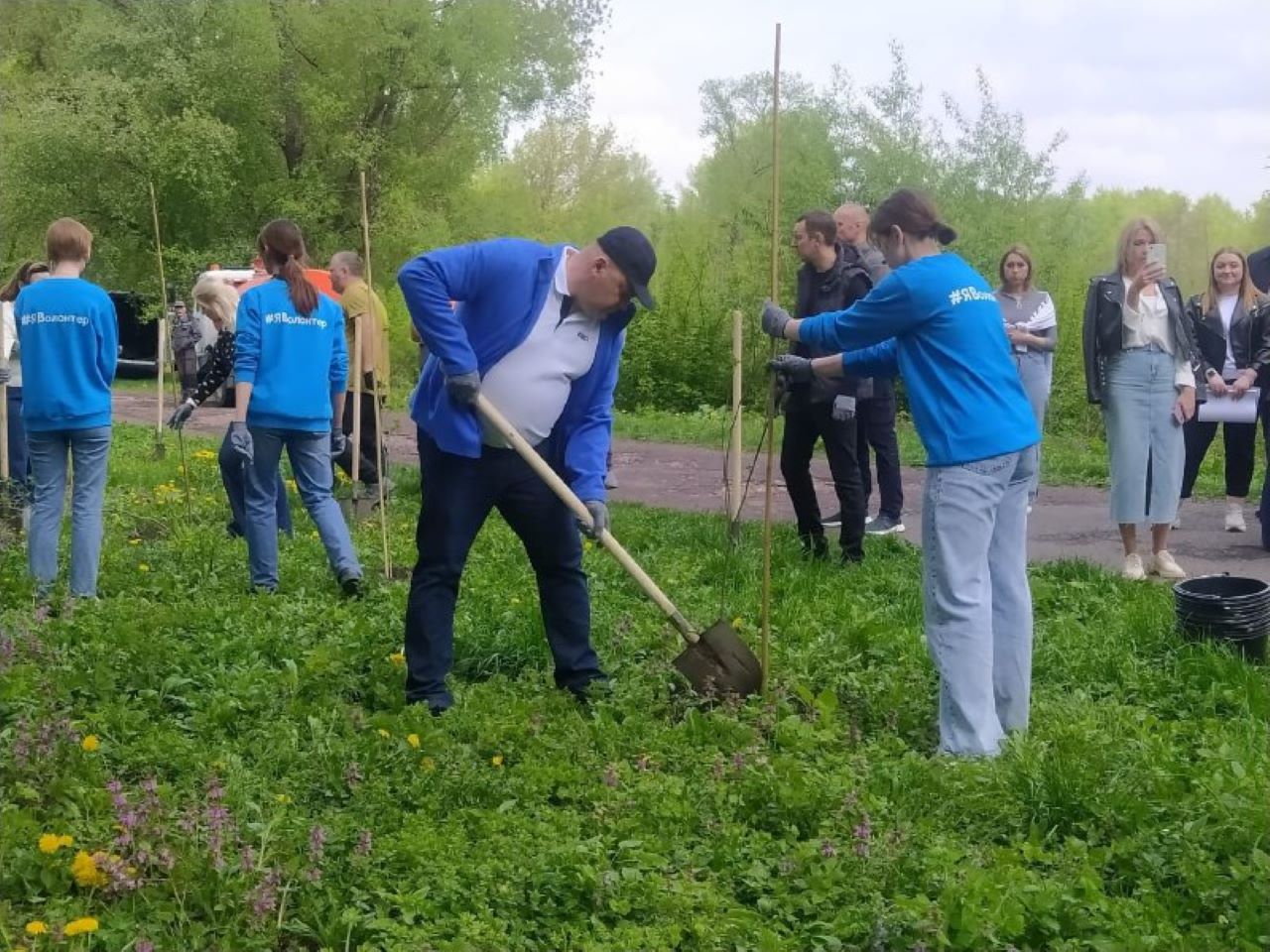 В Курске на Боевой даче сегодня высадили 200 кустов сирени и черёмухи