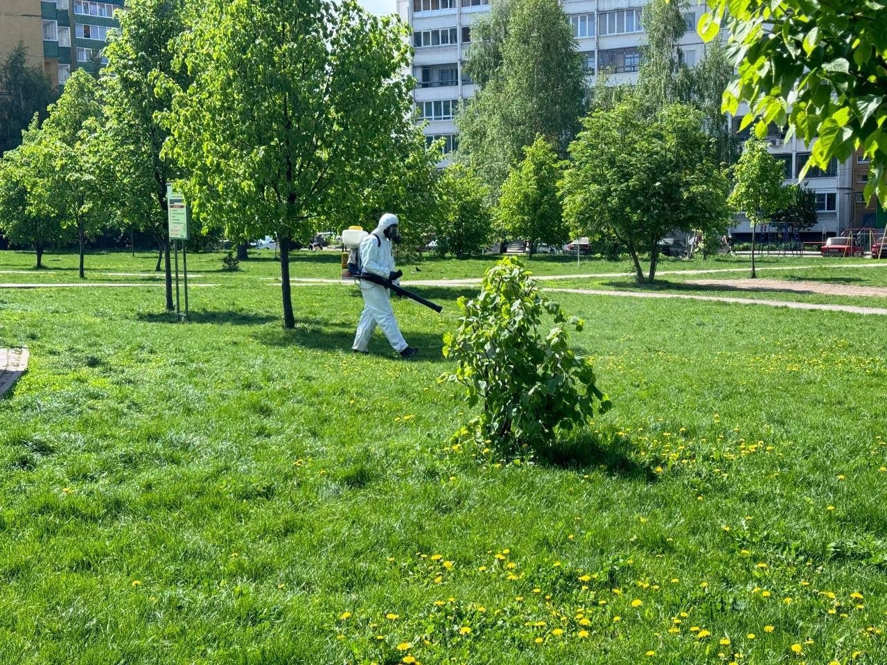 В Курске общественные места обработали от клещей