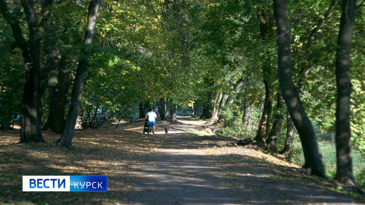 Курская область заняла 4-ое место в рейтинге экологически чистых регионов «Зелëный патруль» в 2023 году