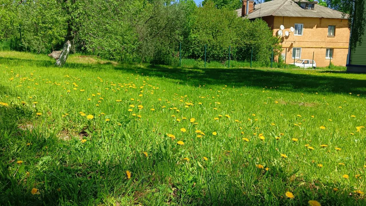 В Курске солнечно и тепло
