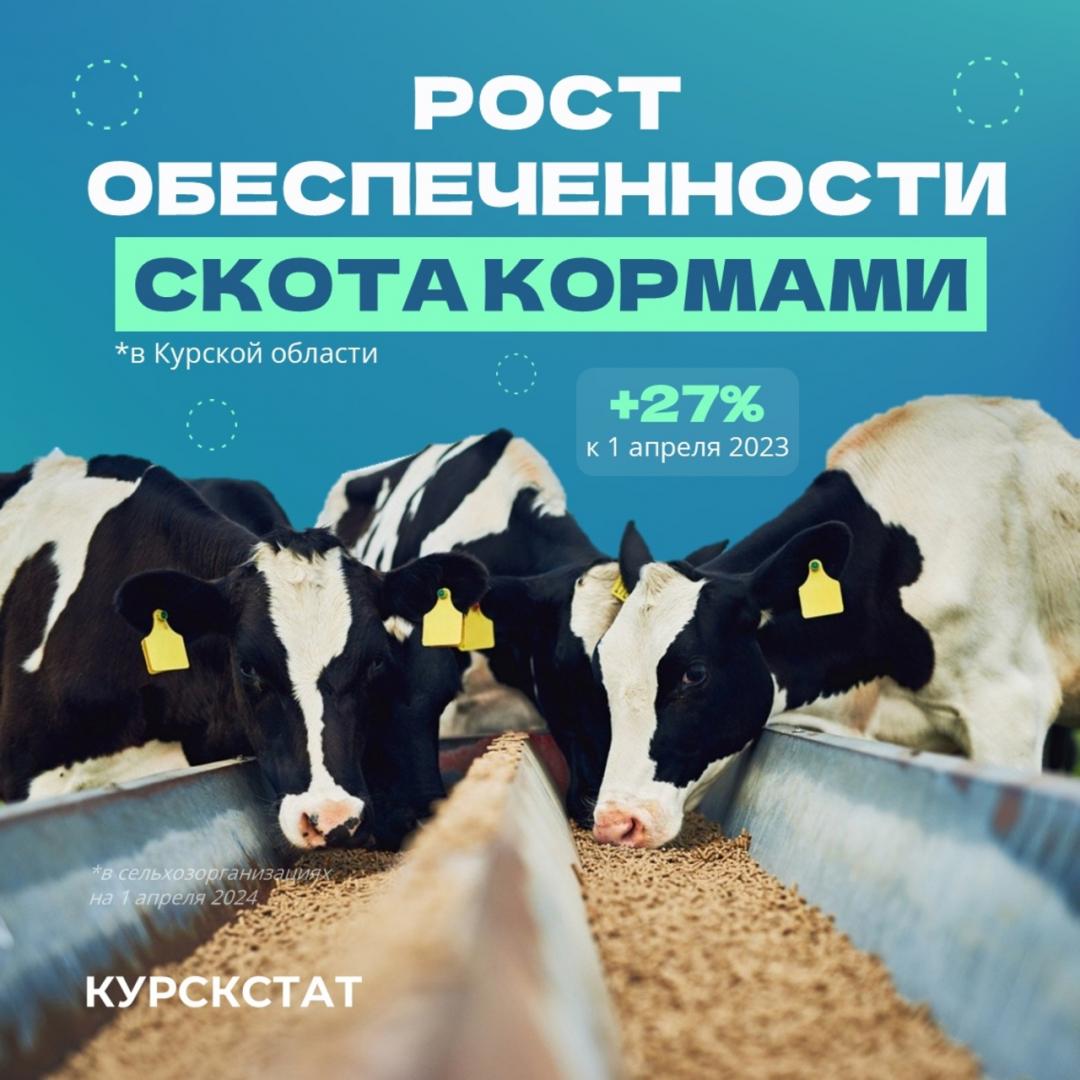 В Курской области за год выросли запасы кормов для скота