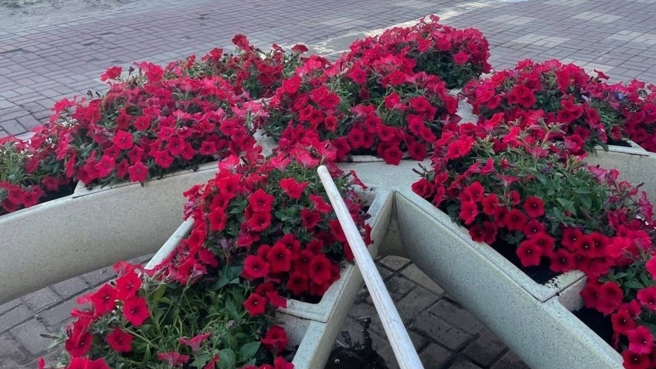 В парках и скверах Курска трудятся 27 специалистов