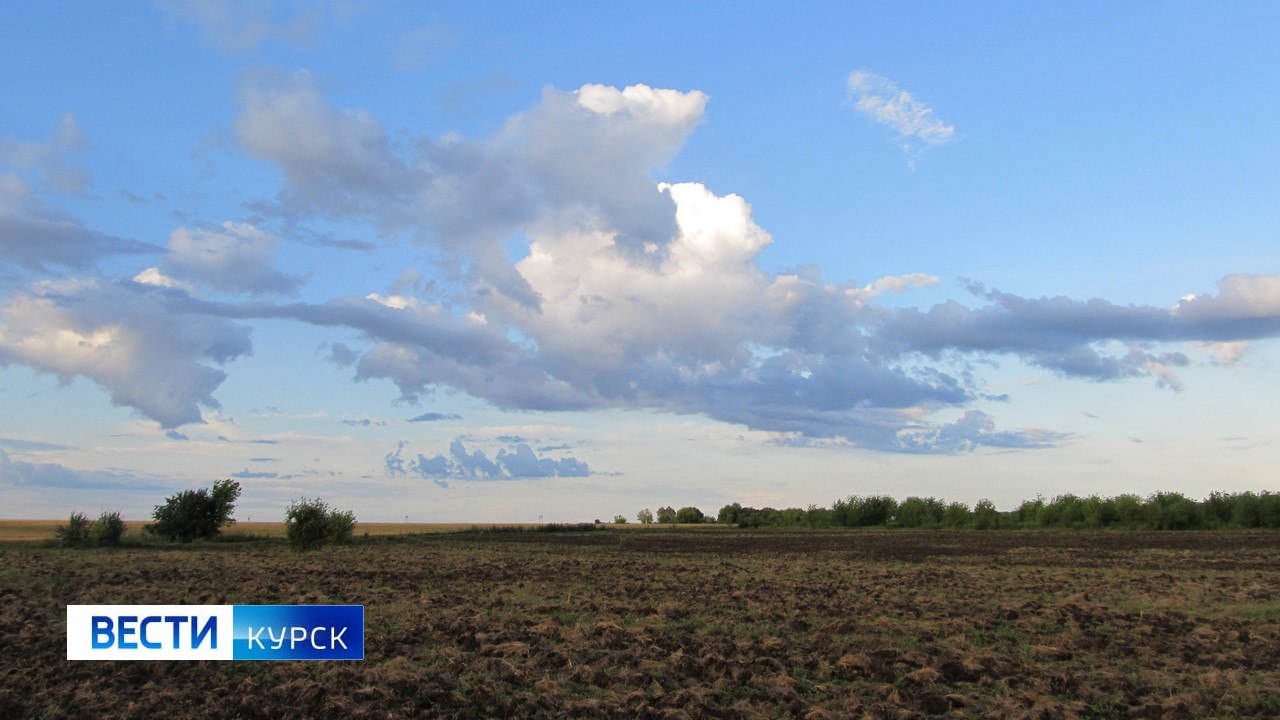 Сегодня в Курске будет солнечно и без осадков