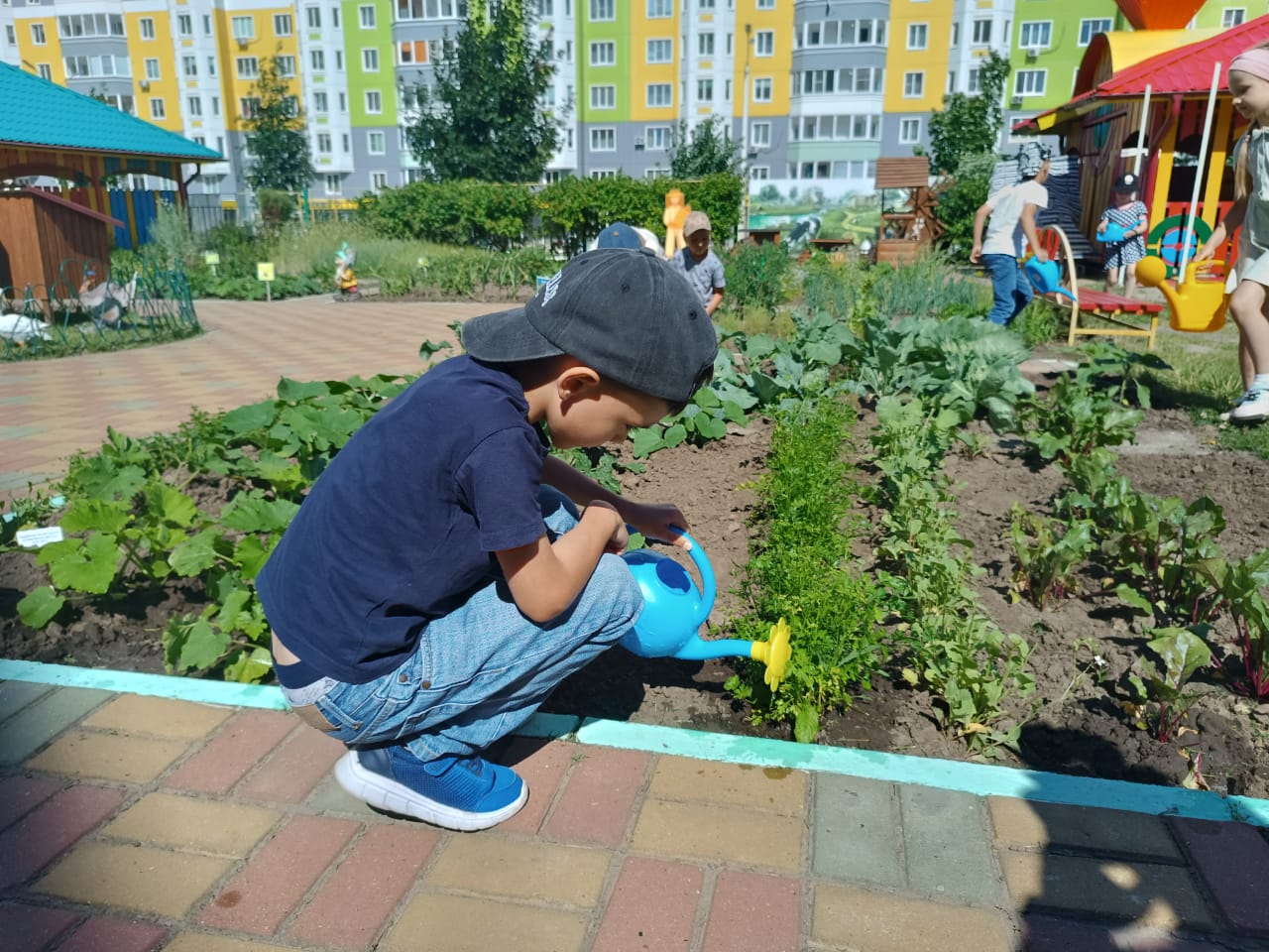 В 15-ом детском саду Курска ребята выращивают несколько видов культур