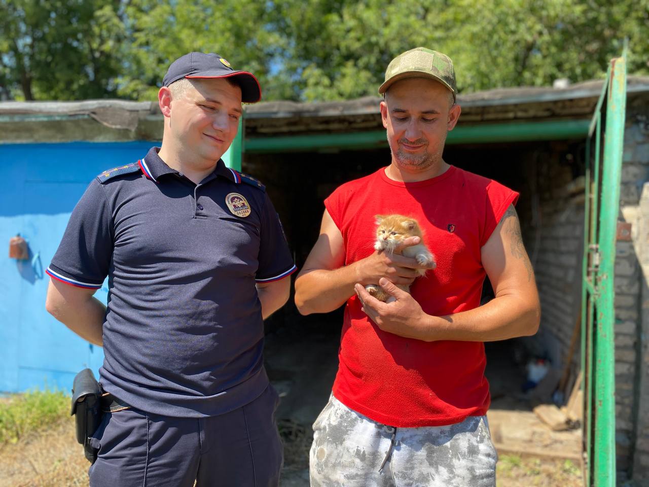 В Железногорске для спасения котёнка понадобилась помощь полиции