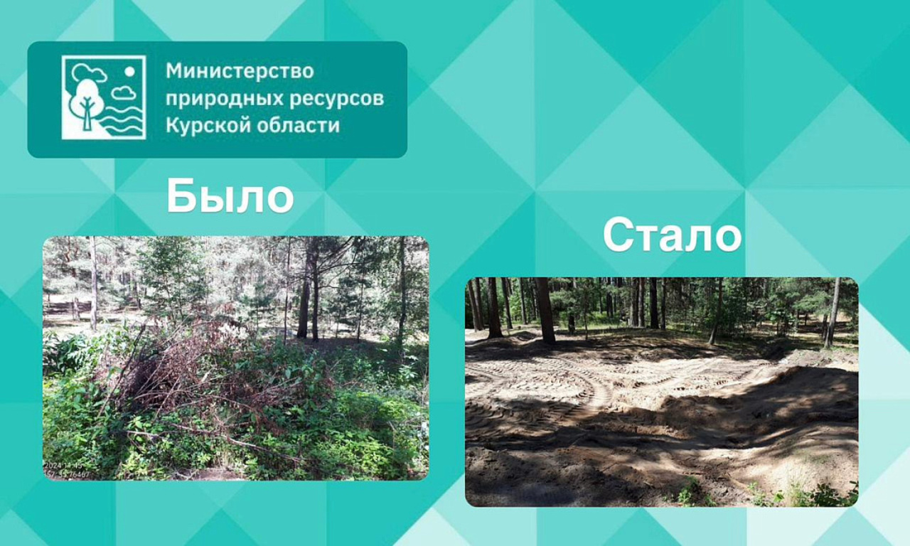 В Льговском лесничестве Курской области устранили 5 несанкционированных свалок