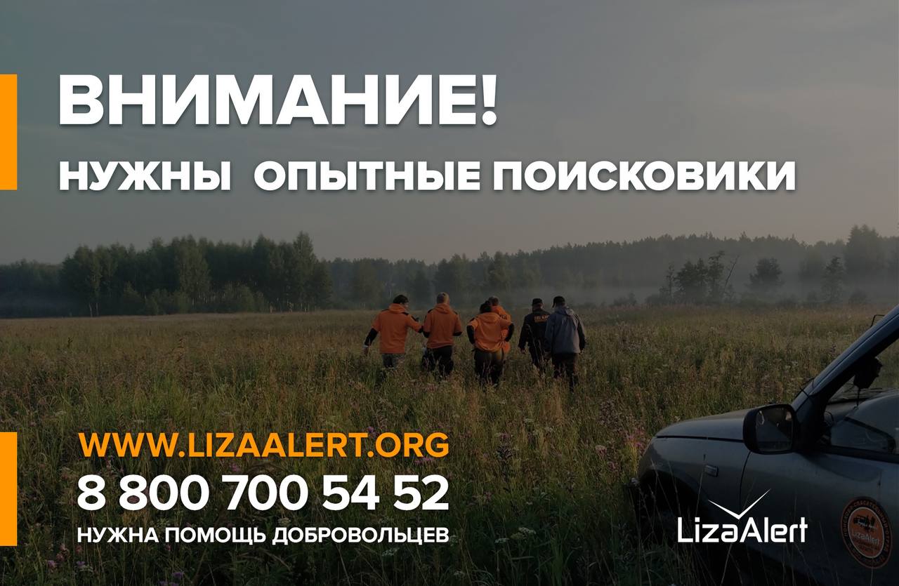Поисковое движение "ЛизаАлерт" ищет опытных добровольцев для поиска пропавшего в Курской области