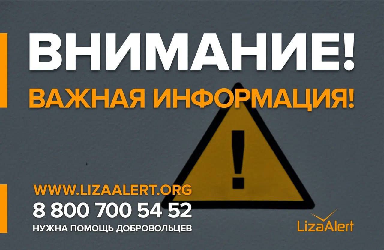 В Курской области добровольцы «ЛизаАлерт» продолжают поиск пропавших жителей приграничья