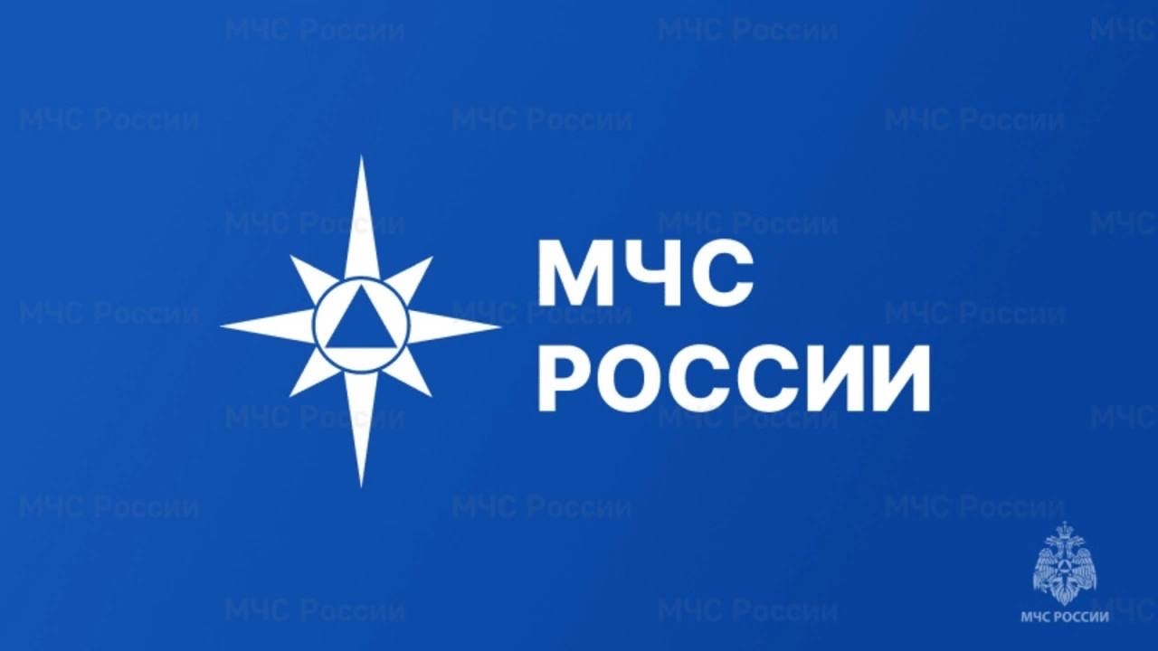 МЧС удалось воссоединить с семьями уже 567 человек, эвакуированных из Курской области