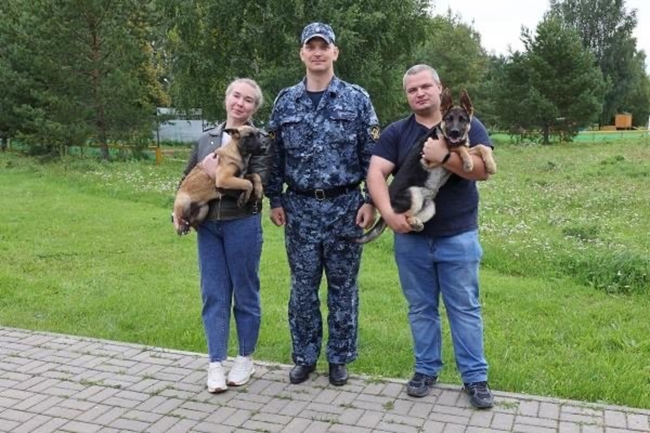 На службу в Курскую область прибыли щенки из племенного питомника Пермского института ФСИН России