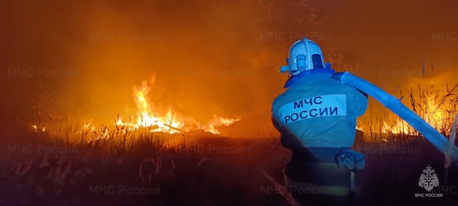 За минувшую неделю в Курской области ликвидировано 229 пожаров