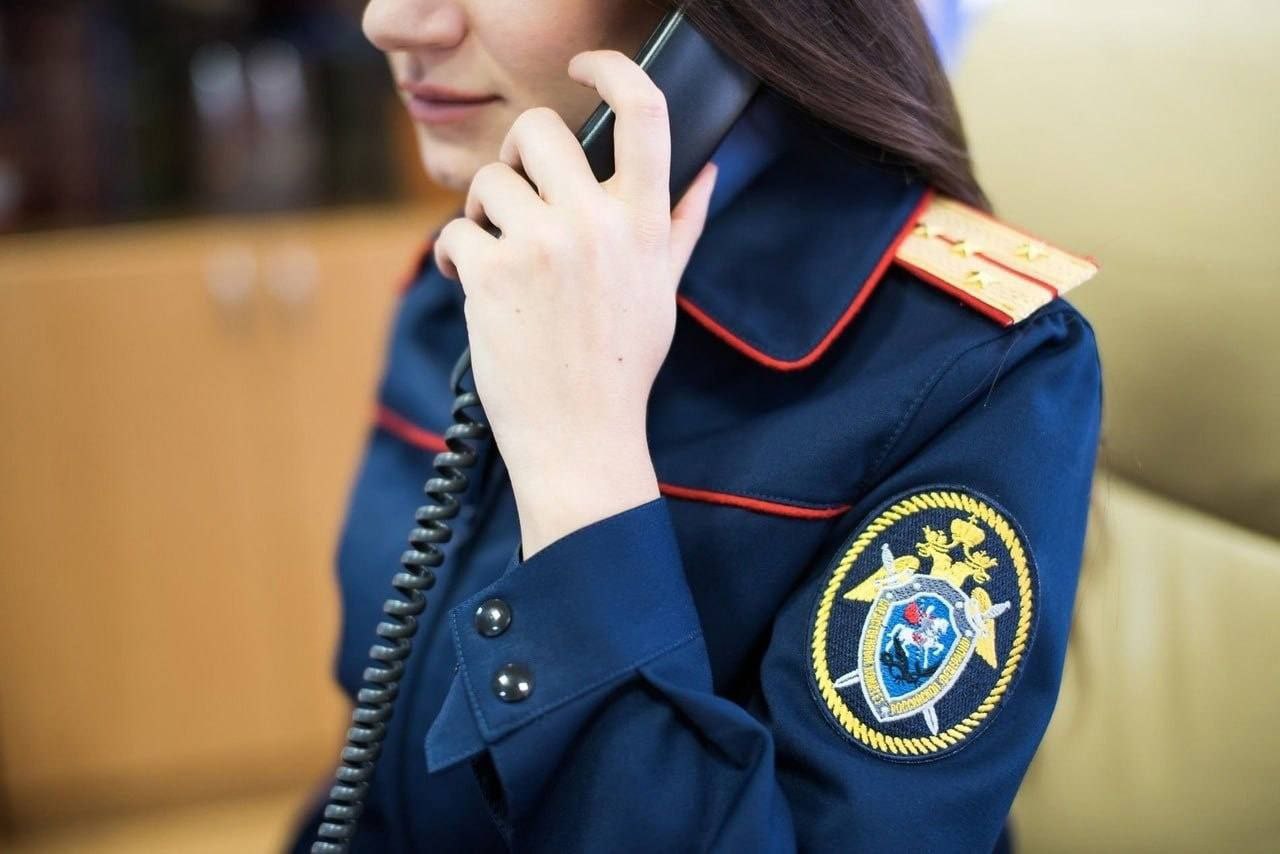 Следком проверяет информацию о падении дерева на ребенка в Курске