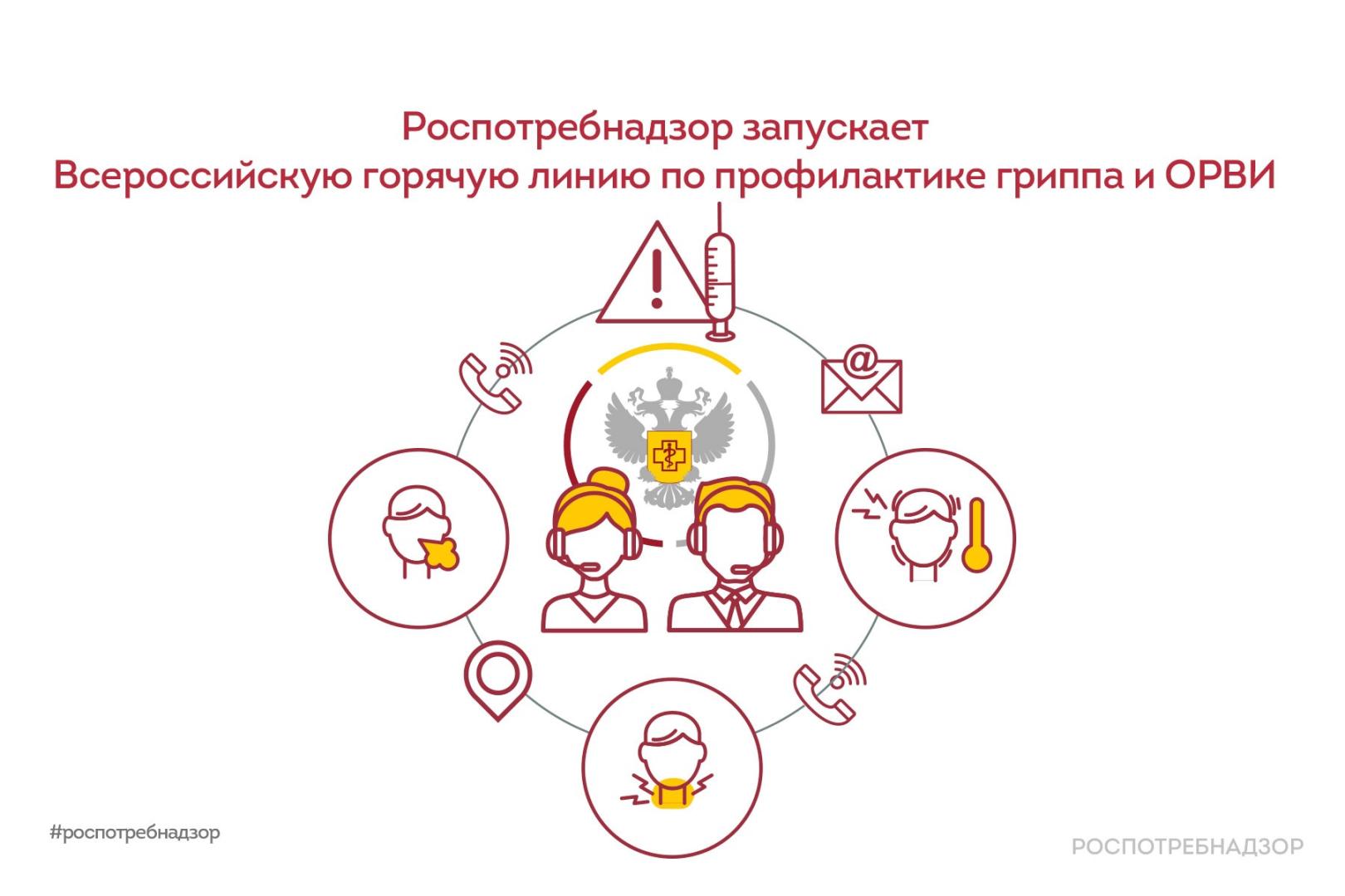 В Курской области работает горячая линия по вопросам профилактики гриппа и ОРВИ Роспотребнадзора | ГТРК «Курск» В Курской области работает горячая линия по вопросам профилактики гриппа и ОРВИ Роспотребнадзора