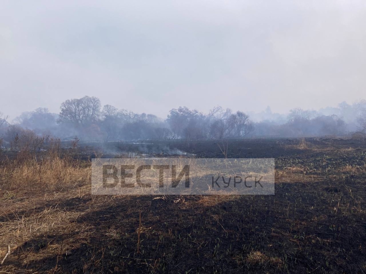 Сотрудники Министерства природных ресурсов Курской области выехали на обследование территории