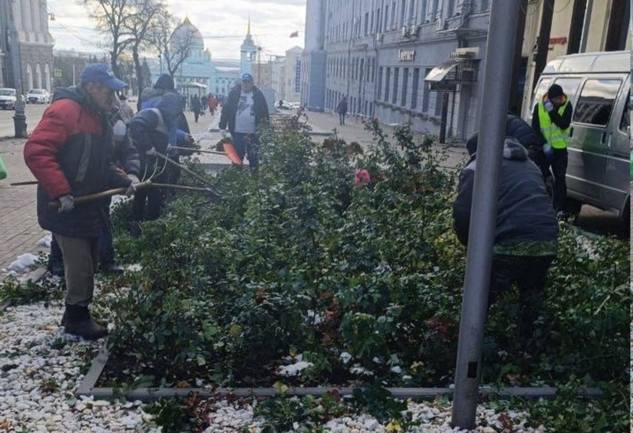 В Курске готовят к зиме цветники 
