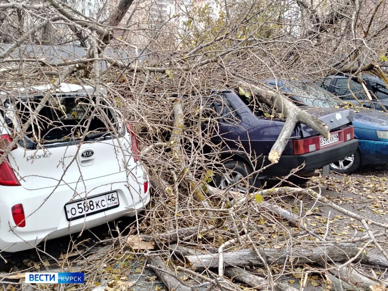 На проспекте Клыкова в Курске массовое повреждение автомобилей