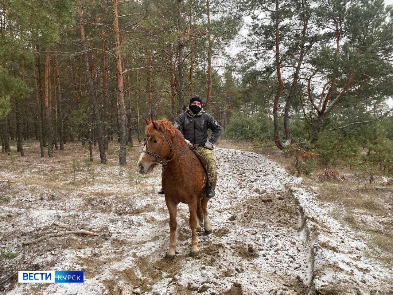Для лесных инспекторов начался горячий сезон активного патрулирования лесов