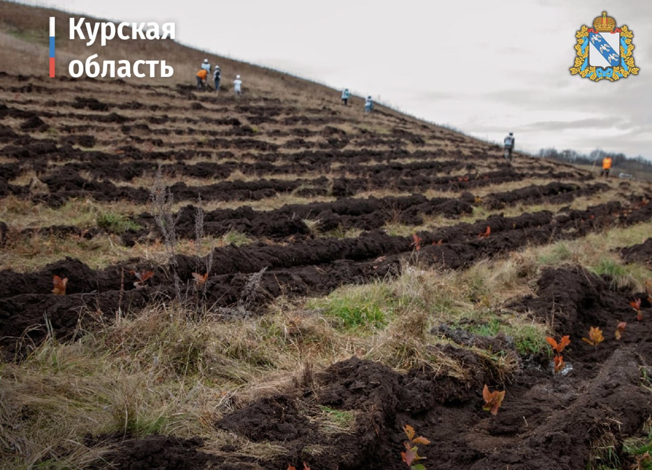 В Курской области завершили работу национального проекта «Экология»