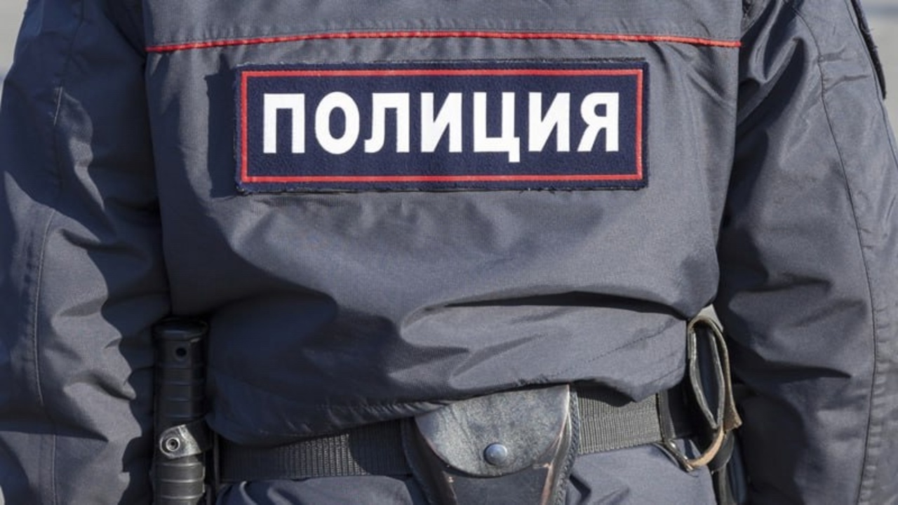 Курянин, ударивший полицейского, предстанет перед судом