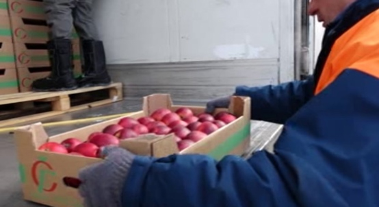 Гуманитарная помощь из регионов продолжает поступать в Курскую область