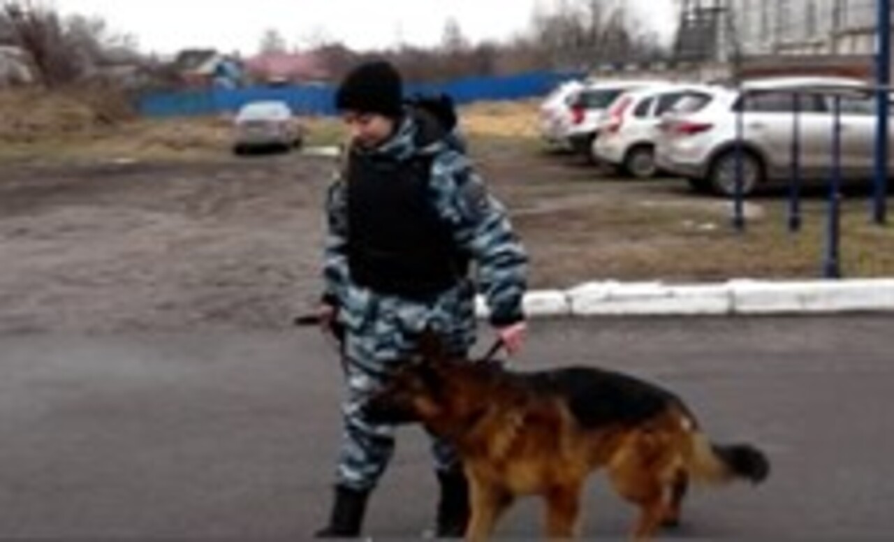 В Курске в Центре кинологической службы регионального УМВД работают не только мужчины