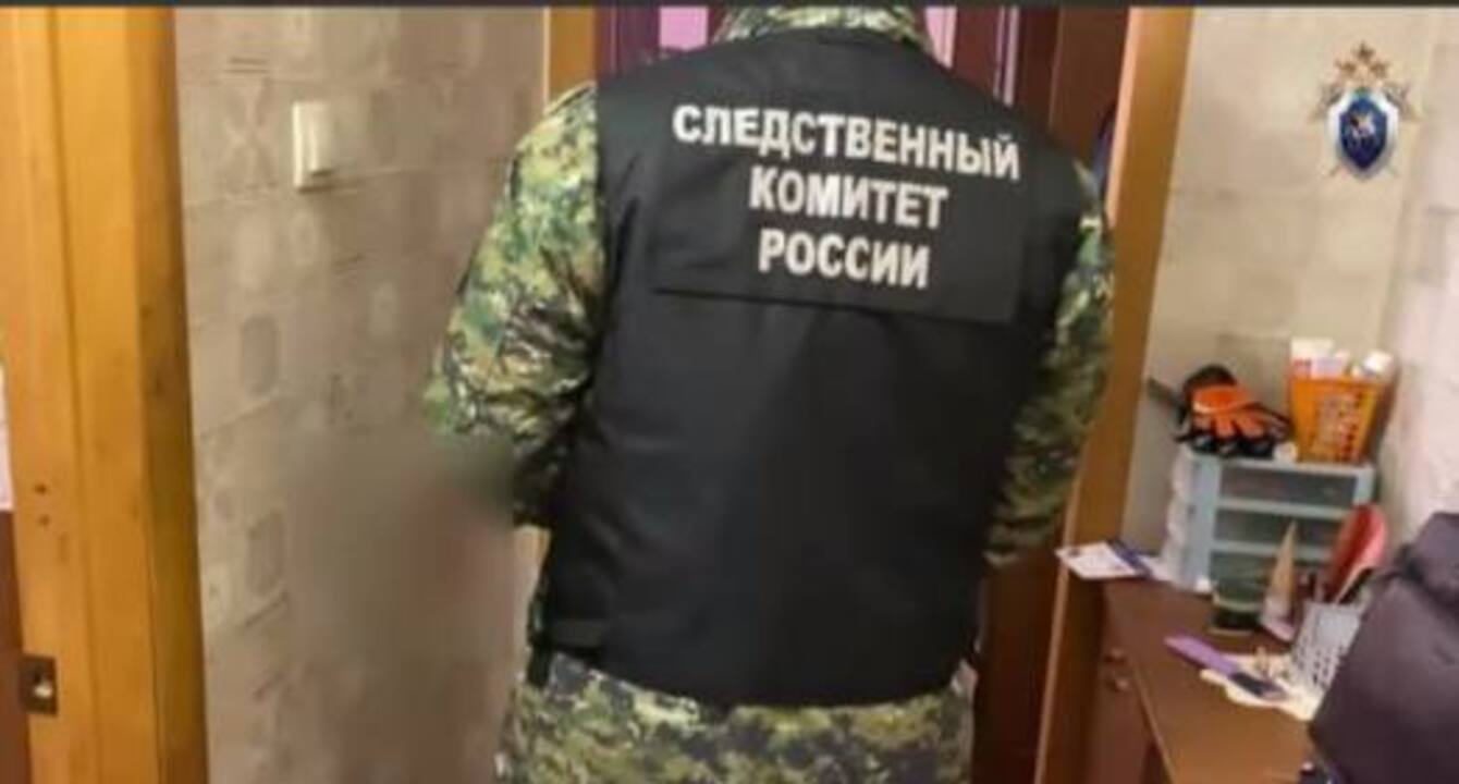 Полиция задержала подозреваемого в двойном убийстве в Железногорске Курской области