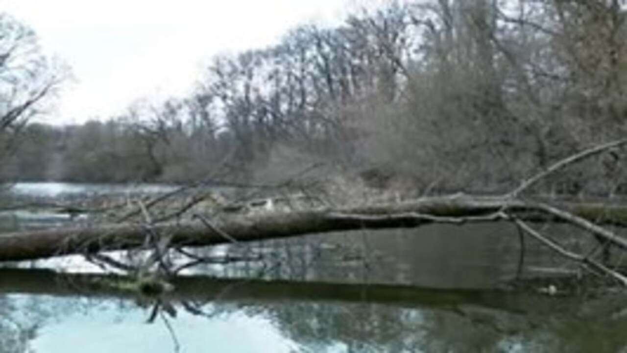 Расследование экологического преступления на реке Сейм в Курске набирает обороты