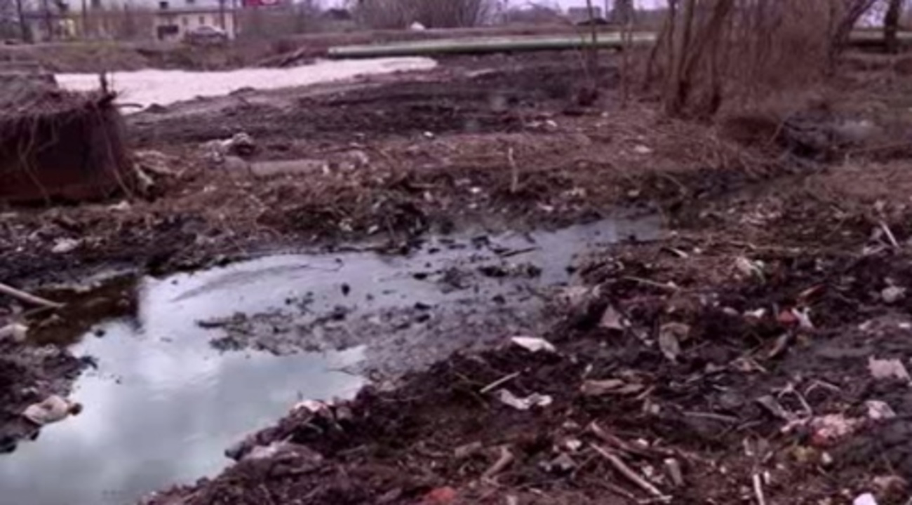 Очередная экологическая проблема в Курске — сброс воды с маслянистыми отходами в ручей