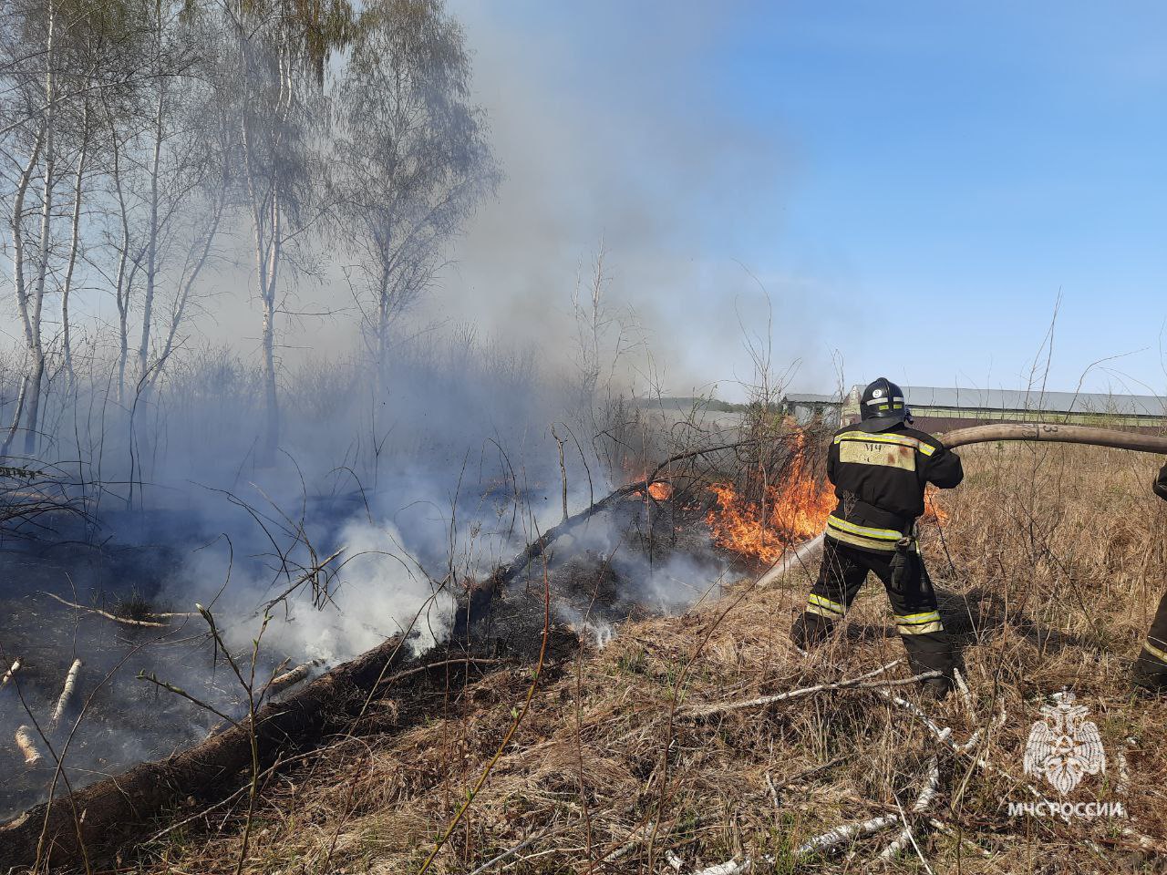 Пожар в деревне Жеребцово Курского района локализован
