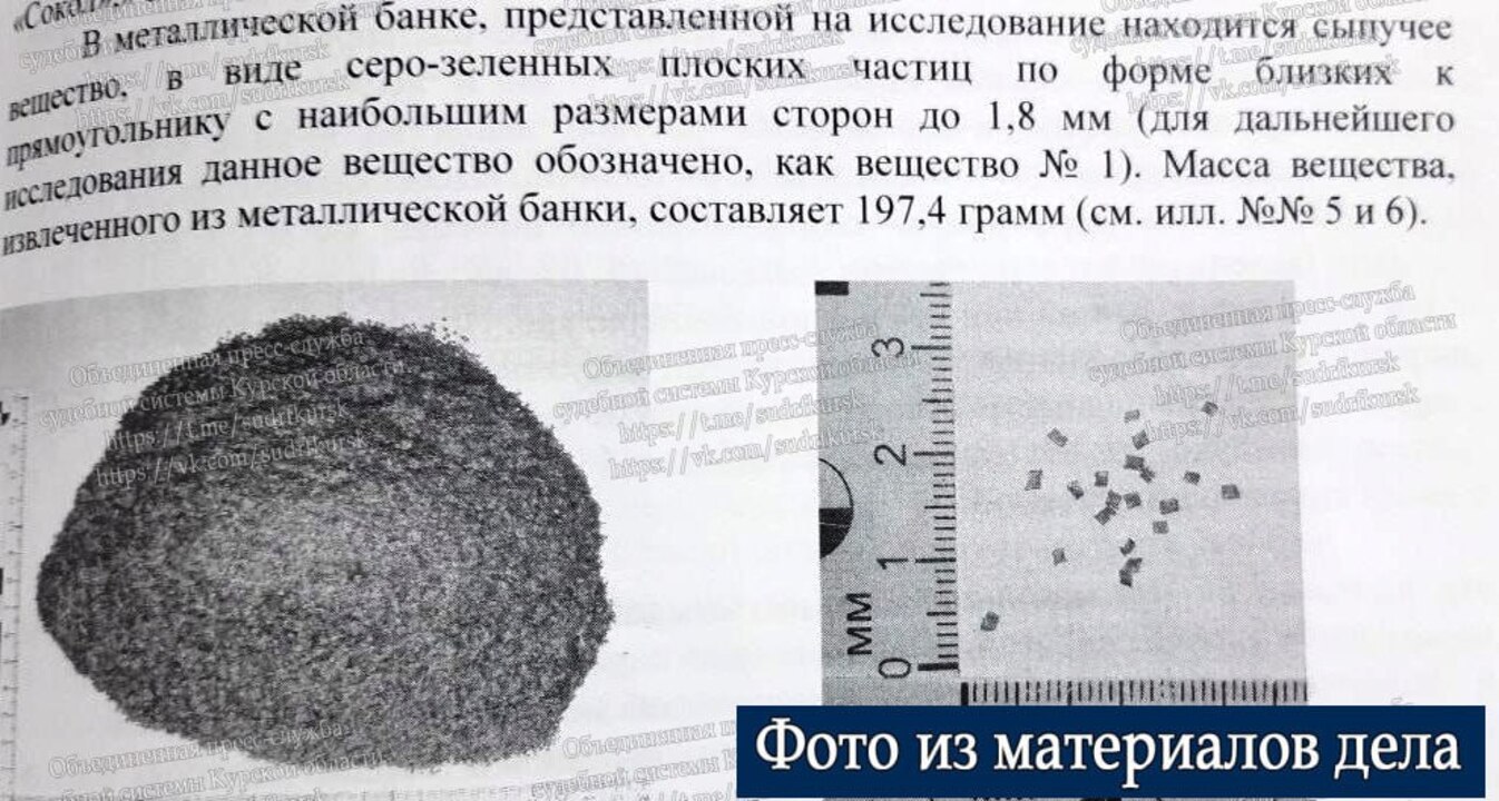 Житель Курска осужден за незаконное приобретение и хранение взрывчатых веществ