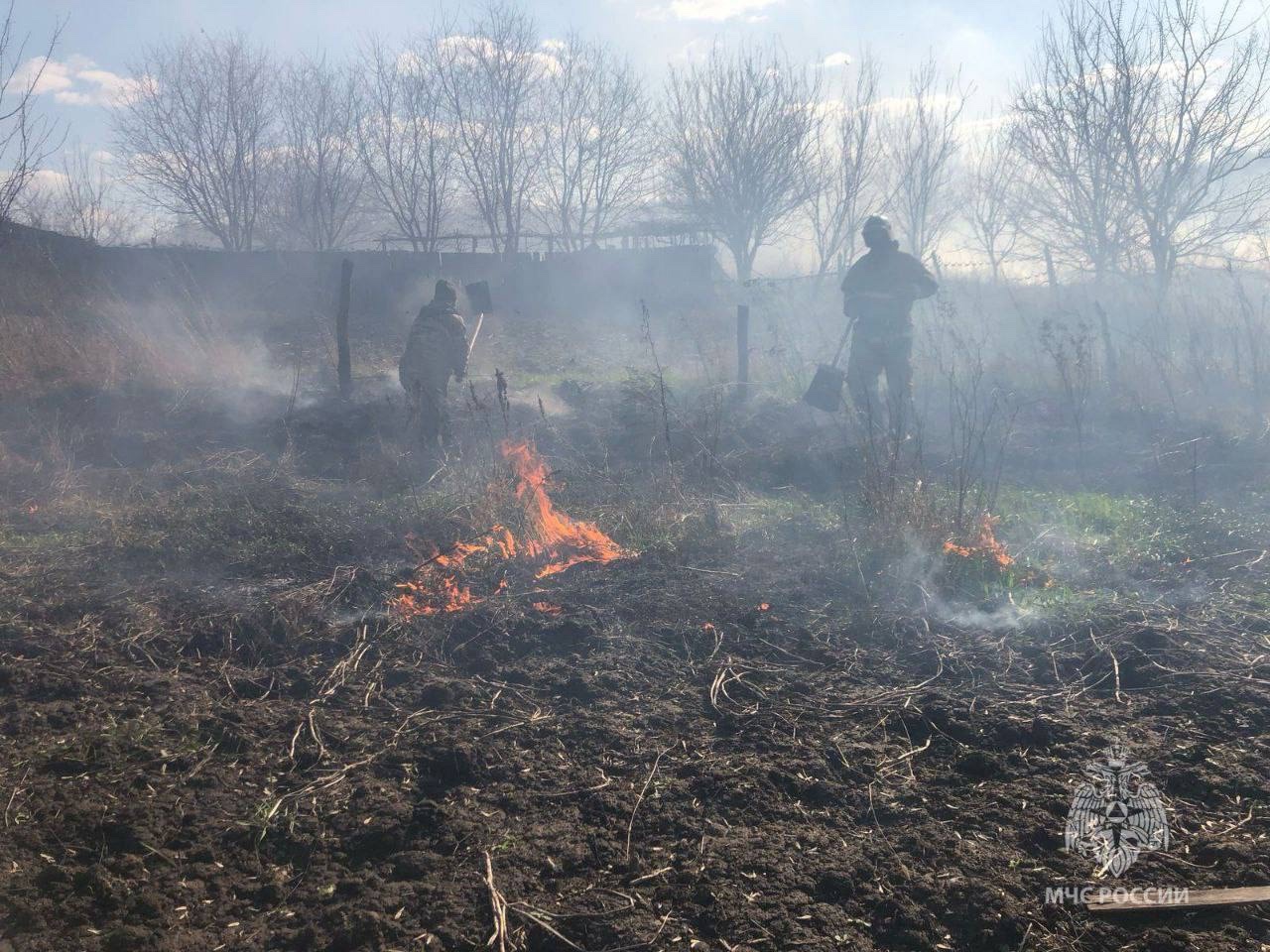 13 пожаров произошло в Курской области за сутки