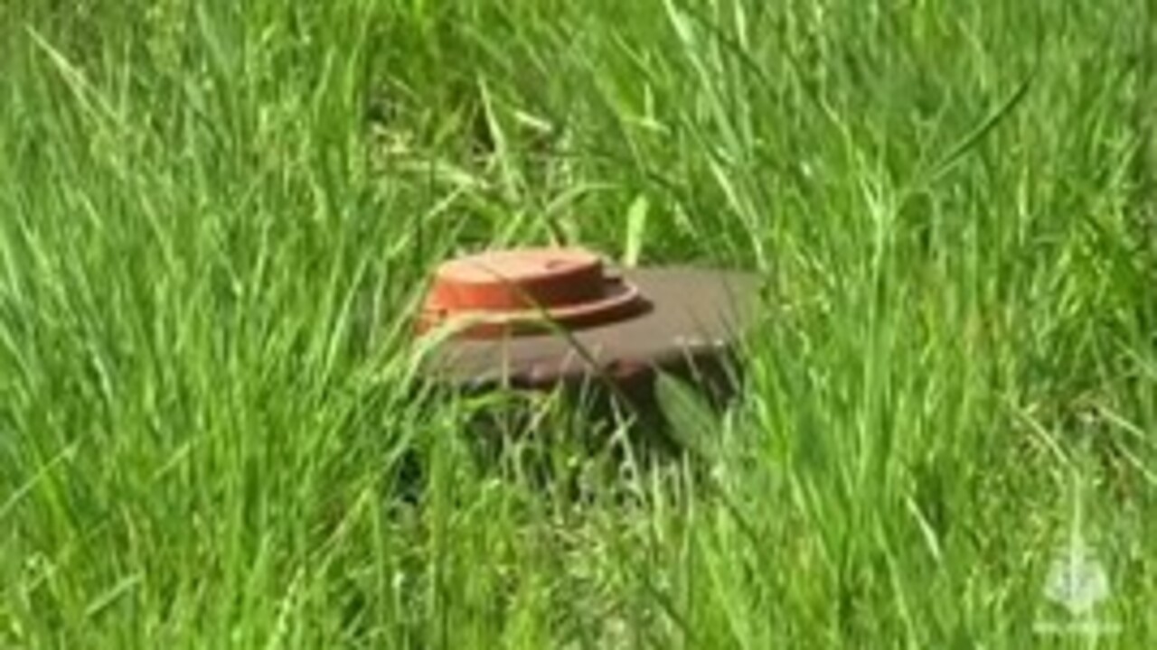 Более 4 300 боеприпасов уничтожено в Курской области