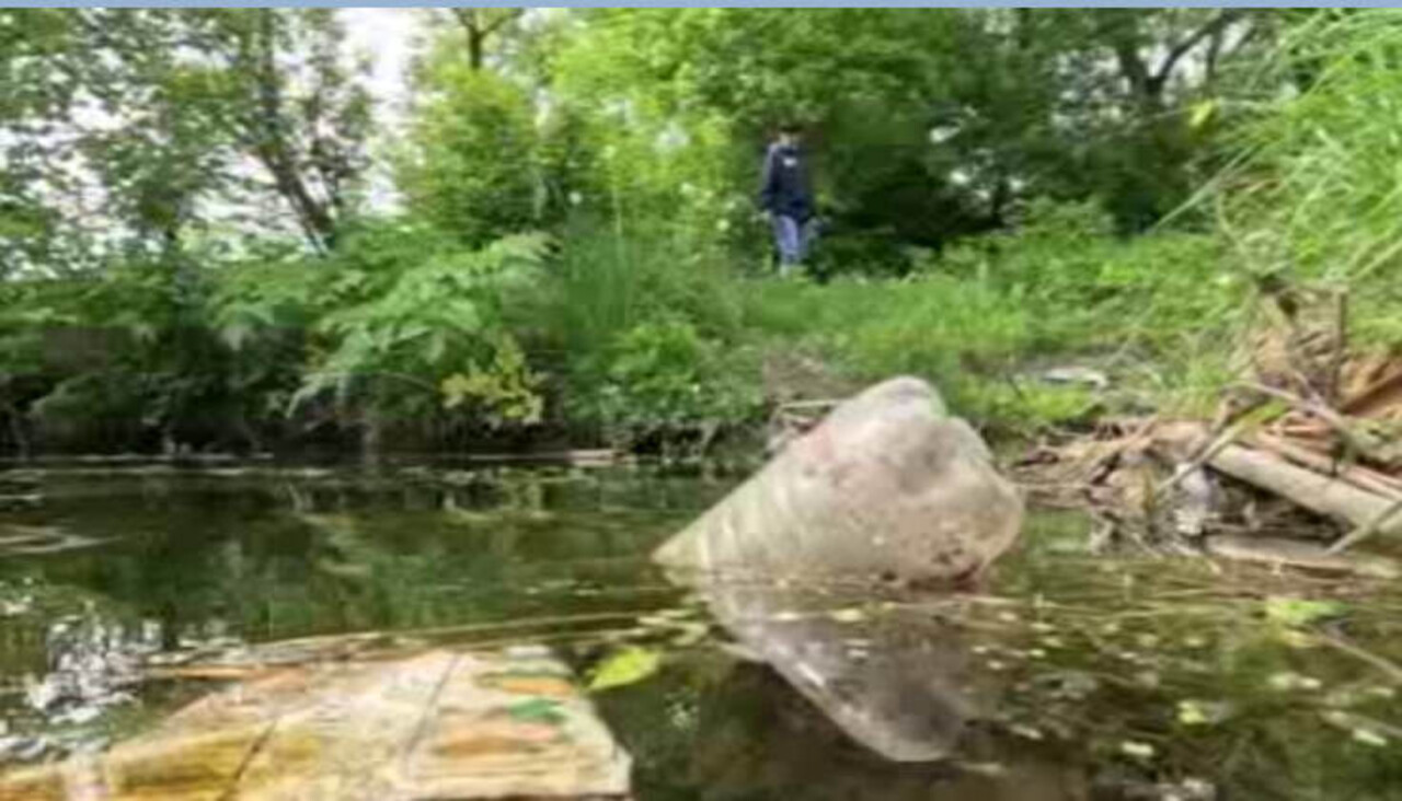 Река Тускарь в Курске мелеет, в воде все больше примесей