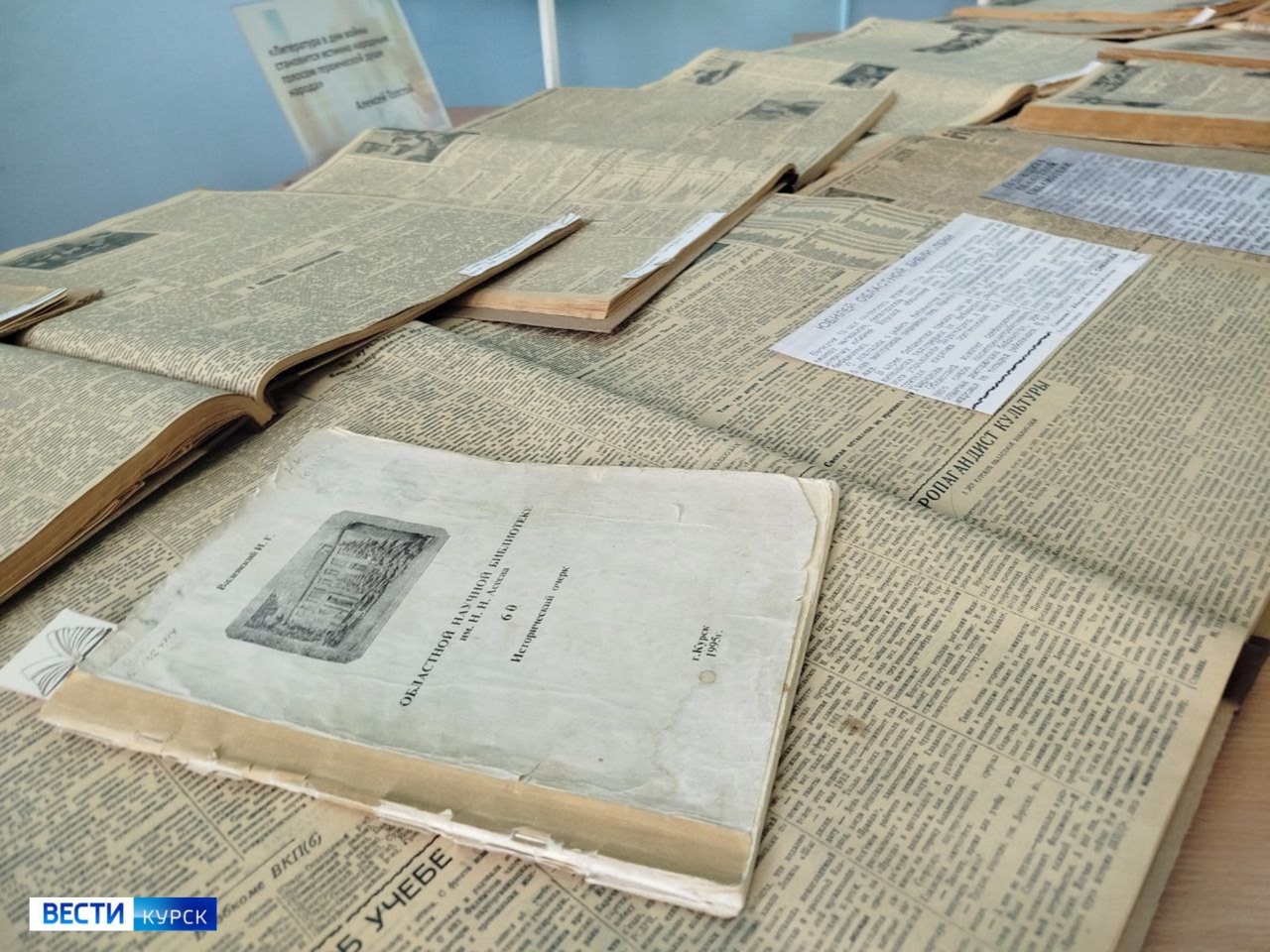 Сегодня главное книгохранилище Курской области отмечает 90 лет со дня открытия