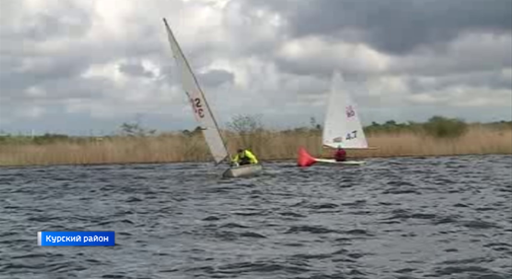 В акватории Курского водохранилища прошел чемпионат Курской области по парусному спорту