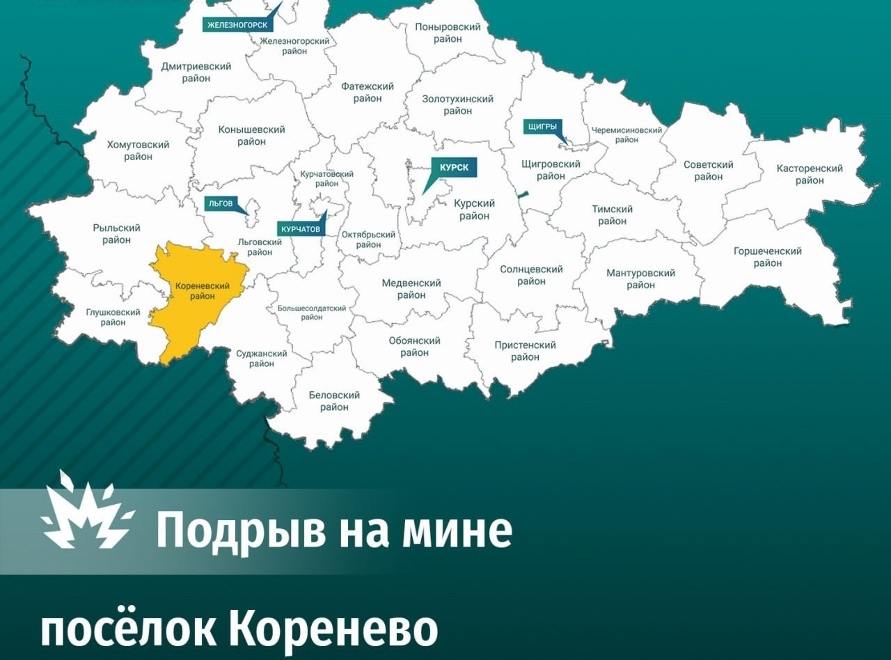 62-летний курянин во время покоса травы подорвался на мине «Колокольчик»